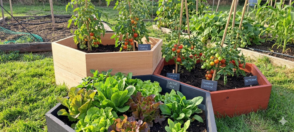 Bac potager hexaterra empilés dans un jardin